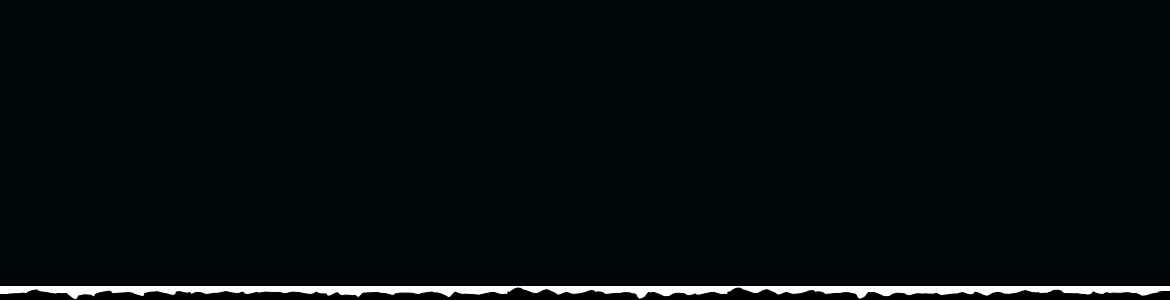 Connemara Dansant Gaec de vacheval